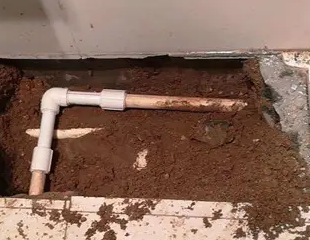 额敏测漏水哪家好