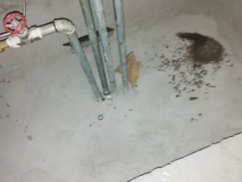 额敏卫生间测漏水价格明细