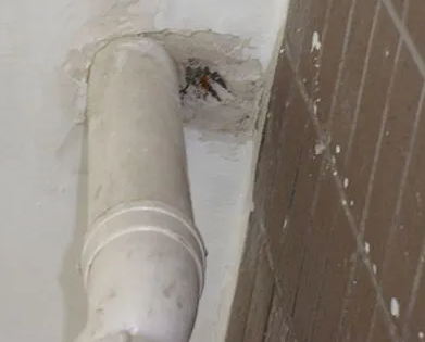 额敏漏水检测哪家好